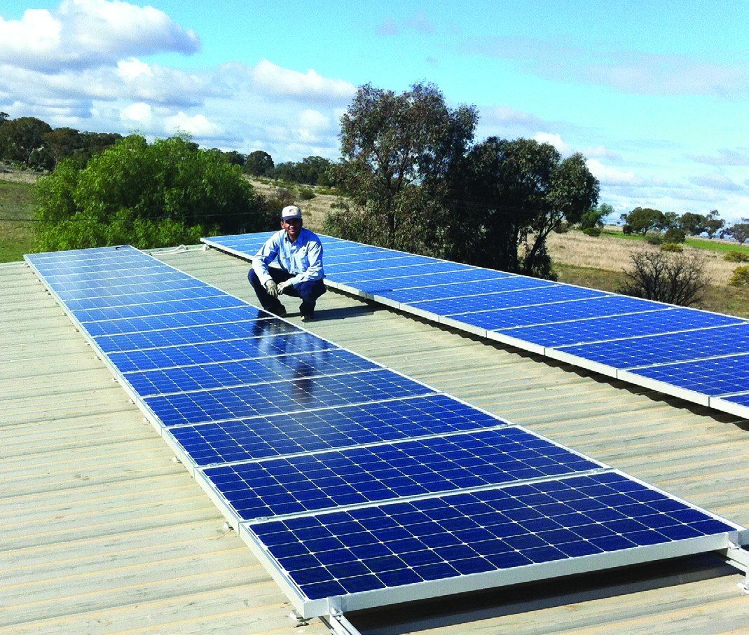 Installer on a long solar array with gum trees behind